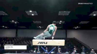 Landon Wu - Pommel Horse, Region 1 - 2021 Winter Cup & Elite Team Cup