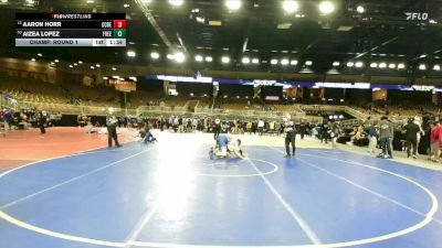 165 lbs Champ. Round 1 - Aaron Horr, Cocoa Beach vs Aizea Lopez, Freedom