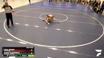 93C Quarterfinal - Cole Jensen, Springfield vs Emmet Klepperich, Zumbrota/Mazeppa