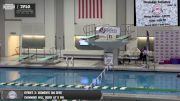 Replay: Landmark Swimming & Diving Championship | Feb 13 @ 4 PM