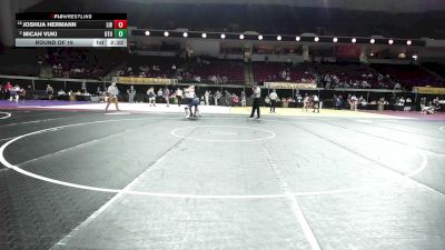 285 lbs Round Of 16 - Joshua Hermann, Liberty vs Micah Vuki, Utah Tech
