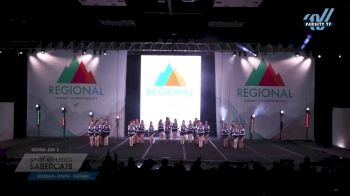 Spirit Athletics - SaberCats [2023 L2 Youth - Medium Day 2] 2023 The Regional Summit: Midwest