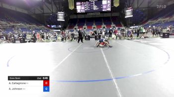 138 lbs Cons Semi - Alissa Caltagirone, Michigan vs Allyssa Johnson, North Dakota