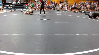 85 lbs Round 1 - Landon Vergho, Cobra Wrestling Club vs Braxton Rice, Carolina Reapers