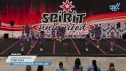 North Country Elite - Free Rein [2024 L1 Performance Rec - 12Y (NON) - Large Day 1] 2024 Spirit Unlimited Harrisburg Challenge