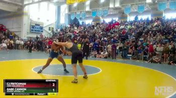 175 lbs Semifinal - CJ Fritchman, Cape Henlopen H S vs Gabe Cannon, Sussex Central H S