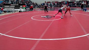 107 lbs 3rd Place Match - Austin Niebuhr, Maple River/USC vs Dominic Larson, Worthington