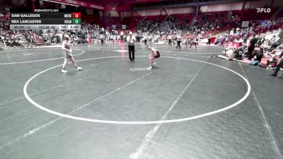 113 lbs D1 - Quarter-finals (fri 5:30 P.m.) - Sam Gallegos, Muskego vs Rex Lancaster, Holmen