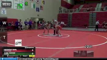132 lbs Quarterfinal - Gabe Monize, Eastern vs Anthony Bahl, Crown Point