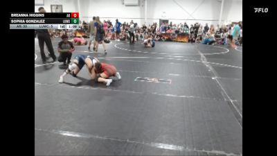 110 lbs Round 2 (4 Team) - Sophia Gonzalez, Level Up Wrestling Center vs Breanna Higgins, AR-15
