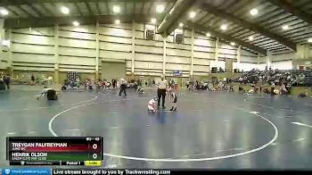 43 lbs Cons. Round 2 - Treygan Palfreyman, Juab WC vs Henrik Olson, Salem Elite Mat Club