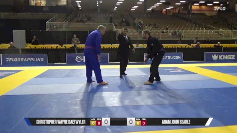Adam John Searle vs Christopher Wayne Daetwyler 2025 Pan Jiu Jitsu IBJJF Championship
