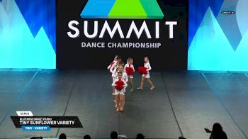 Blue Rose Dance Studio - Tiny Sunflower Variety [2025 Tiny - Variety Semis] 2025 The Dance Summit