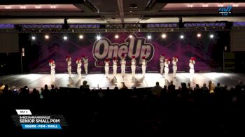 Dance Mania Nashville - Senior Small Pom [2025 Senior - Pom - Small Day 2] 2025 One Up Grand Nationals