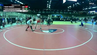 135 lbs Champ. Round 1 - Ionys Alvarado-Martinez, Lake Mary vs Riley Toomey, Middleburg