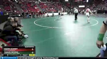 D2-138 lbs Quarterfinal - Taedon Nichols, Luck/Frederic/Grant./Siren vs Austin Schmidt, Baldwin-Woodville