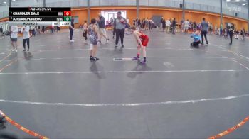 95 lbs Round 3 - Jordan Jhagroo, Project Destiny Wrestling Club vs Chandler Dale, Roundtree