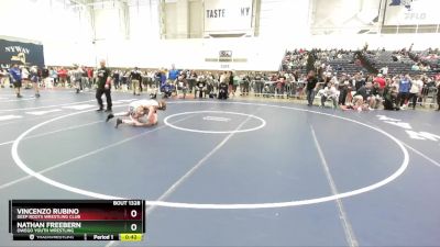 138 lbs Cons. Round 2 - Nathan Freebern, Owego Youth Wrestling vs Vincenzo Rubino, Deep Roots Wrestling Club