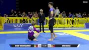 Armin Douzali vs Stuart Gregory Carmody 2025 Pan IBJJF Jiu-Jitsu No-Gi Championship