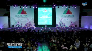 Cheer Athletics Emerald Coast - Tiny Tiger Sharks [2025 L1.1 Tiny - PREP Day 1] 2025 The Southeast Regional Summit