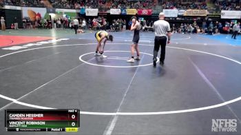 112 lbs Quarterfinal - Vincent Robinson, Bartlett High vs Camden Messmer, Thunder Mountain