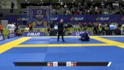 Ali Rizwan vs David Pan Seoane 2025 European Jiu-Jitsu IBJJF Championship