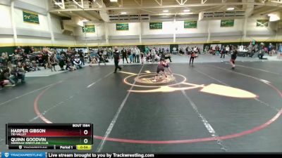 73 lbs Cons. Semi - Harper Gibson, Tri-Valley vs Quinn Goodvin, Sheridan Wrestling Club