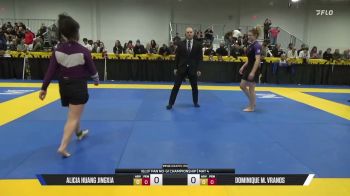 Dominique M. Vranos vs Alicia Huang JingXia 2026 Pan IBJJF Jiu-Jitsu No-Gi Championship