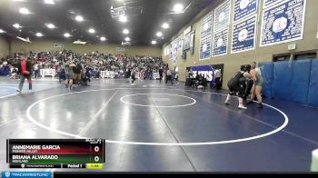 189 lbs Champ. Round 1 - Briana Alvarado, Highland vs Annemarie Garcia, Pioneer Valley