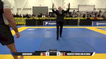 Roosevelt Pereira Lima De Sousa vs Adam Nabawy 2025 World IBJJF Jiu-Jitsu No-Gi Championship