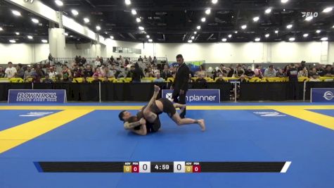 Stephen James Smallidge vs Jeric Michael Fry 2025 World IBJJF Jiu-Jitsu No-Gi Championship