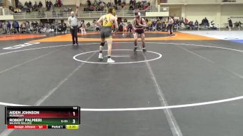141 lbs Cons. Round 4 - Robert Palmieri, Baldwin Wallace vs Aiden Johnson, Muskingum