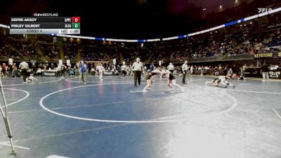 118 lbs Consy 4 - Defne Aksoy, Upper St. Clair vs Finley Gilbert, Clearfield
