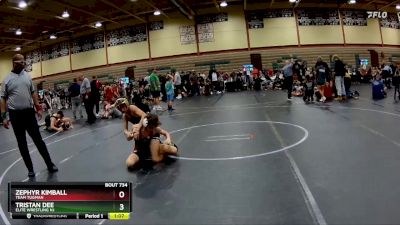 115 lbs Semifinal - Tristan Dee, Elite Wrestling Nj vs Zephyr Kimball, Team Tugman