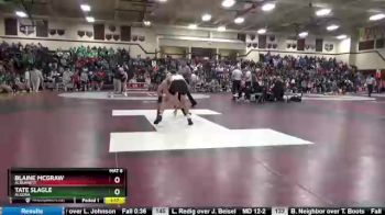 126 lbs Quarterfinal - Blaine McGraw, Alburnett vs Tate Slagle, Algona