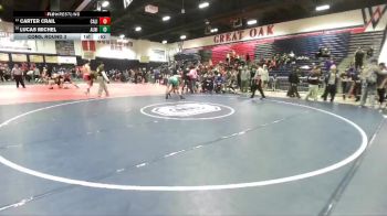 165 lbs Cons. Round 3 - Lucas Michel, Aliso Niguel vs Carter Crail, California (Whittier)