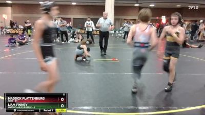 95 lbs Semis & 1st Wrestleback (8 Team) - Liam Finney, Untouchables Purple vs Maddox Plattenburg, Ares