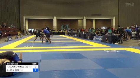 LYDIA ANN RICE vs TAYLOR ELAINE WINGSTROM 2024 Pan IBJJF Jiu-Jitsu No-Gi Championship