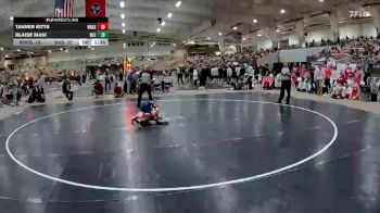 113 lbs Semis & 1st Wb (8 Team) - Blaise Masi, Summit High School vs Tanner Kitts, Knoxville Halls High School