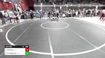 100 lbs Quarterfinal - Cole Williams, Douglas WC vs Markus Reyes-Galdamez, Westlake