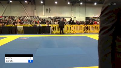 BERLYN DAVIS vs HELENA CREVAR 2023 World IBJJF Jiu-Jitsu No-Gi Championship