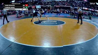 AA - 175 lbs Semifinal - Carson Shaw, Gallatin (Bozeman) vs Gabe Rosales, Billings West