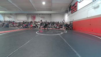 115 lbs Quarterfinal - Naima Sedillo, Farmington vs Allison McDaniel, Falcon