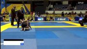 BEATRICE Z JIN vs KELLY MADISON MCKAY 2022 World IBJJF Jiu-Jitsu No-Gi Championship