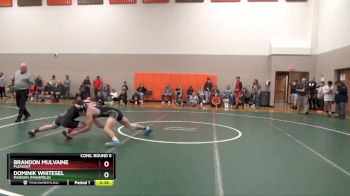 165 lbs Cons. Round 5 - Brandon Mulvaine, Pleasant vs Dominik Whitesel, Madison (Mansfield)