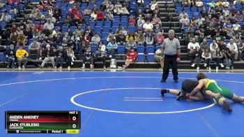 138 lbs 1st Place Match - Jack Stubleski, EVERGREEN vs Anden Ankney, TINORA