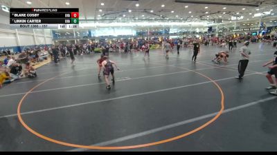 157 lbs Quarterfinal - Linkin Carter, Unattached vs Blake Cosby, Unattached