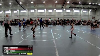 44 lbs Finals (2 Team) - Anson Taylor, 84 Athletes vs Kaden Slebodnik, Phoenix WC