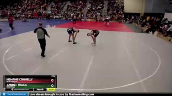 170 lbs Cons. Round 1 - Zander Hallis, Hastings vs Memphis Connelly, New Prague