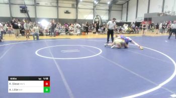 123 lbs Final - Korie Giese, NW Spartans vs Amanda Lillie, Mat Demon WC